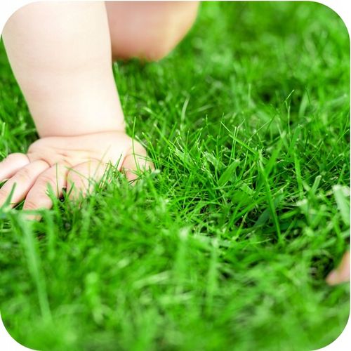 NAWÓZ DO TRAWNIKA do Trawników 5kg BEZCHLORKOWY GRANULOWANY ROSAFERT na Arena.pl