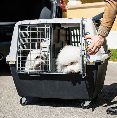 Stefanplast Panel oddzielający do Gulliver Touring IATA [96342] na Arena.pl