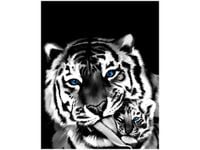 40X50CM TYGRYSY OBRAZ