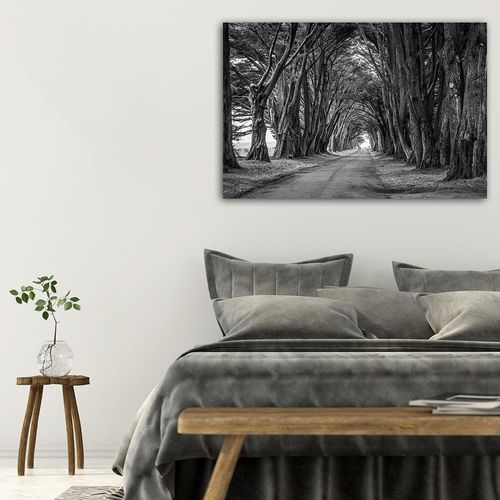 Deco Panel, Aleja drzew 90x60 na Arena.pl