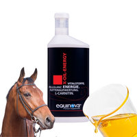 Equinova X-Oil-Energy 1 l