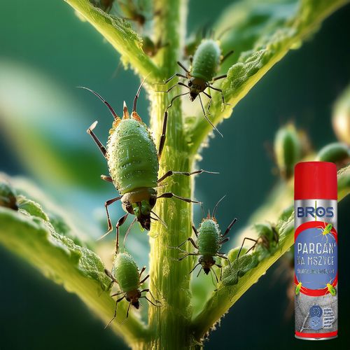 bros - parcan ae zwalcza mszyce spray 400ml na Arena.pl