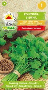 Kolendra siewna nasiona 2 g. zioła zdjęcie 1