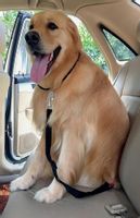 PAS - SAMOCHODOWA SMYCZ DLA PSA, KOTA