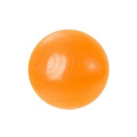 Piłka Gimnastyczna 45 cm 100504 N/A