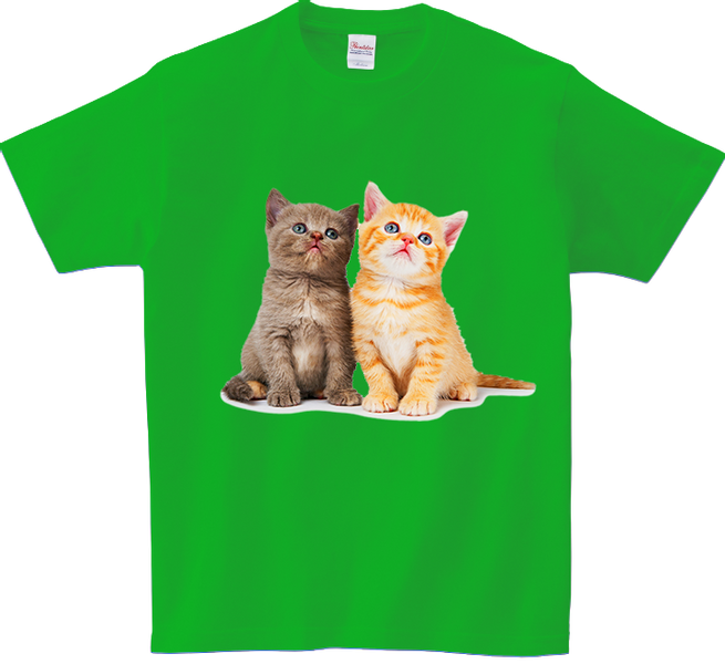 Koszulka T-shirt Kot zdjęcie 1