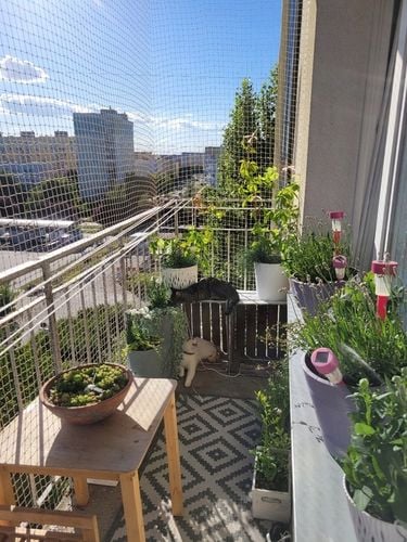 ZESTAW SIATKA NA BALKON 6x3m Z DRUCIKIEM PREMIUM DLA KOTA BEZ WIERCENIA na Arena.pl