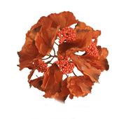 Hortensja wyrobowa pomarańczowa