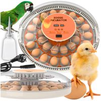 Inkubator wylęgarnia drobiu klujnik owoskop automat obracanie jaj jajka 30