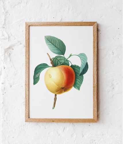 Plakat vintage jabłko kwiat 21x29,7 cm A4 na Arena.pl