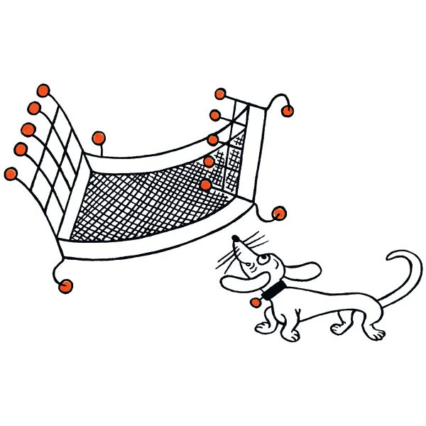 Dziennik podróży z jamnikiem zdjęcie 2