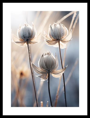 Plakat 25x35cm Poetycka Jesień na Arena.pl