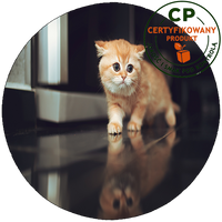 Opłatek na tort Koty