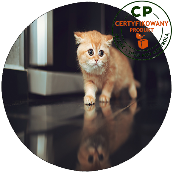 Opłatek na tort Koty zdjęcie 1