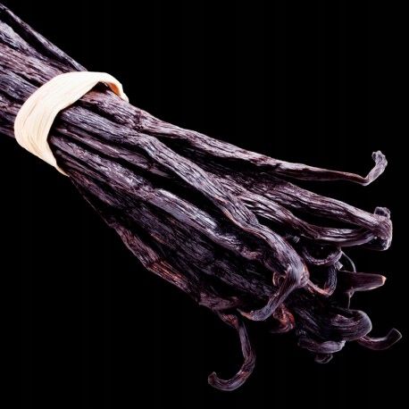 YODEYMA Paris_BLACK ELIXIR Eau de Parfum 50ml EDP na Arena.pl