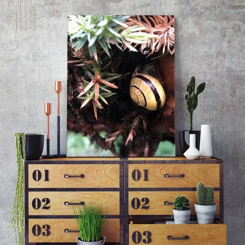 Deco Panel, Kryjówka ślimaka 80x120 na Arena.pl