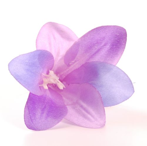 Lilia fioletowa na Arena.pl