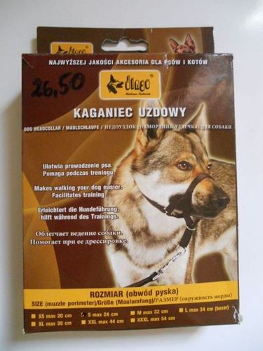 DINGO KAGANIEC UZDOWY CZARNY S na Arena.pl