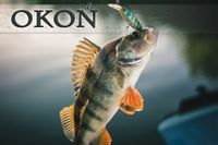 Okoń II – magnes