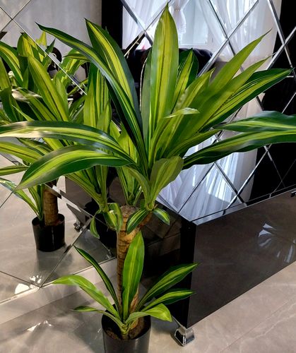 Kup SZTUCZNA DRACENA W DONICZCE ROLINA DEKORACYJNA DRZEWKO JUKA 80 cm na  arena.pl i ciesz si nisk cen