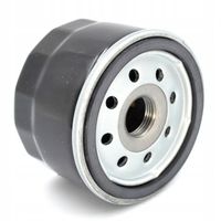 Filtr oleju BRIGGS&STRATTON krótki 492932S traktorki