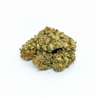 susz konopny cbd „og kush” o aromacie delikatnie cytrusowym 1g strong hemp