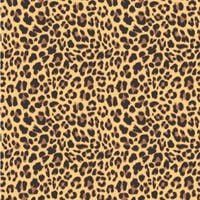 product-compare-62145889