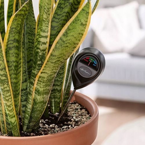 Miernik wilgotności gleby ziemi podłoża wilgotnościomierz higrometr na Arena.pl