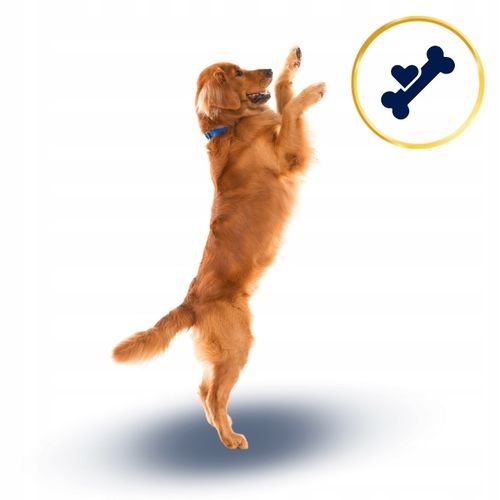 SUCHA KARMA DLA PSA POLARIS ADULT BEZ ZBÓŻ WOŁOWINA INDYK 12KG ŚWIEŻE MIĘSO na Arena.pl