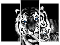 60 90CM OBRAZ 3 ELEM TYGRYSY ŚCIENNY DRUK PŁÓTNO