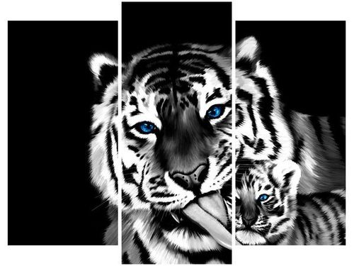 60 90CM OBRAZ 3 ELEM TYGRYSY ŚCIENNY DRUK PŁÓTNO na Arena.pl