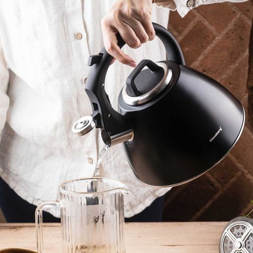 czajnik stalowy z gwizdkiem 2,5l klausberg kb-7952 na Arena.pl