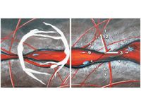 40 80CM ZEGAR 2 ELEM TANIEC TONI ŚCIENNY