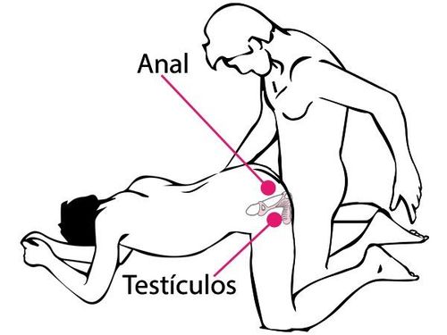 Pierścień-GLADIATOR F + LRS na Arena.pl