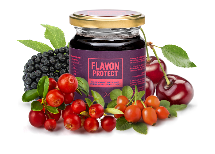 Flavon Protect słoik 240g zdjęcie 1