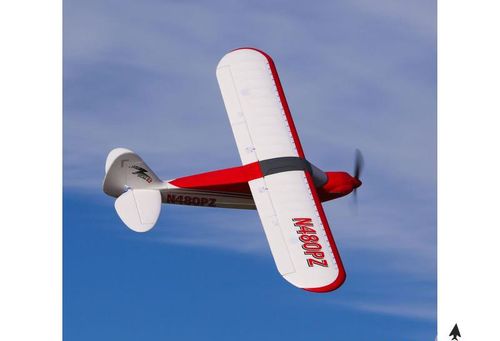 Sport Cub BNF na Arena.pl