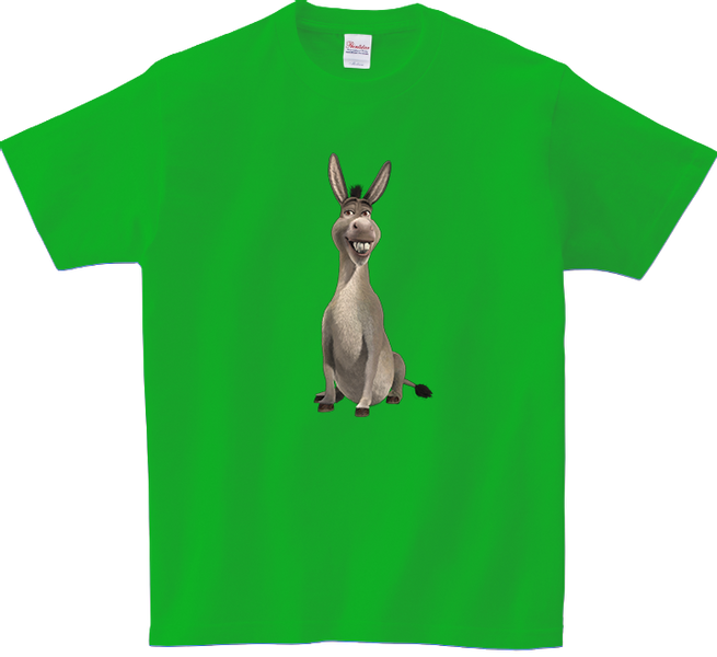 Koszulka T-shirt Shrek zdjęcie 1