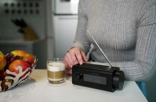 Radio PEAQ PCR 170 DAB+ Szary na Arena.pl