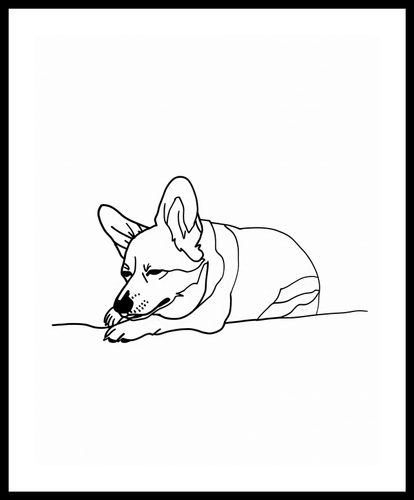 Plakat 40x50cm Śpiący Corgacz na Arena.pl