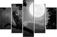 product-compare-58696810