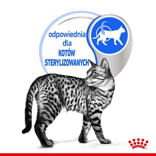 Karma dla kota niewychodzącego, po sterylizacji i kastracji Royal Canin 85g na Arena.pl