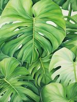 Plakat 15x20cm Tajemnice Liści