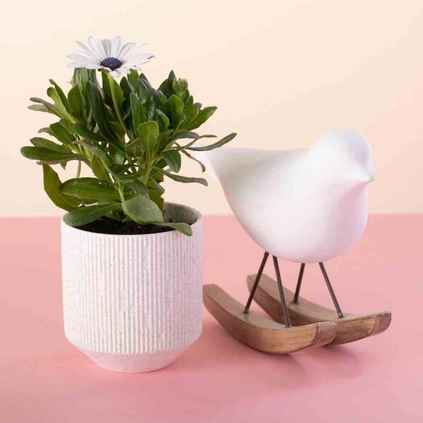 FLOWERPOT/AH/PASO/POWDERPINK/9X9,8 zdjęcie 3