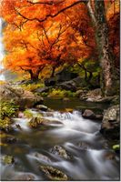 100 70CM OBRAZ PŁÓTNO JESIENNY WODOSPAD PŁÓTNO RAMA