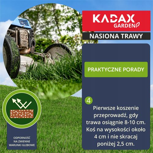 TRAWA OZDOBNA TRAWNIK SAMOZAGĘSZCZAJĄCA 10 KG na Arena.pl
