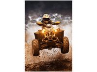 OBRAZ OFFROAD QUAD