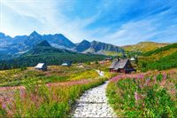 Fototapeta Góry ZIELEŃ Natura Pejzaż do Sypialni 300x210