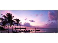 product-compare-58646787