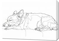 product-compare-59516863