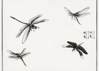 Plakat 70x50cm Ważki ilustracja Morimoto Toko Japoński Vintage do Salonu